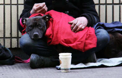 The health benefits of having a pet while homeless